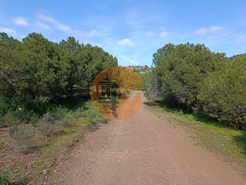 Property photo 3 of 28