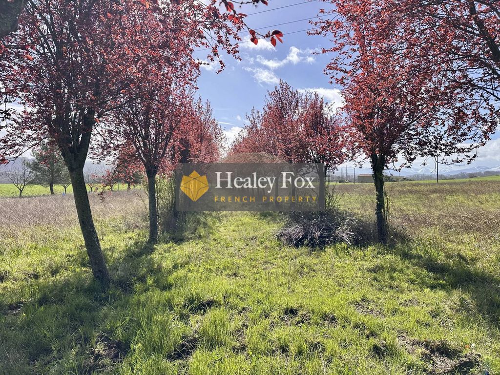 Property photo 3 of 50