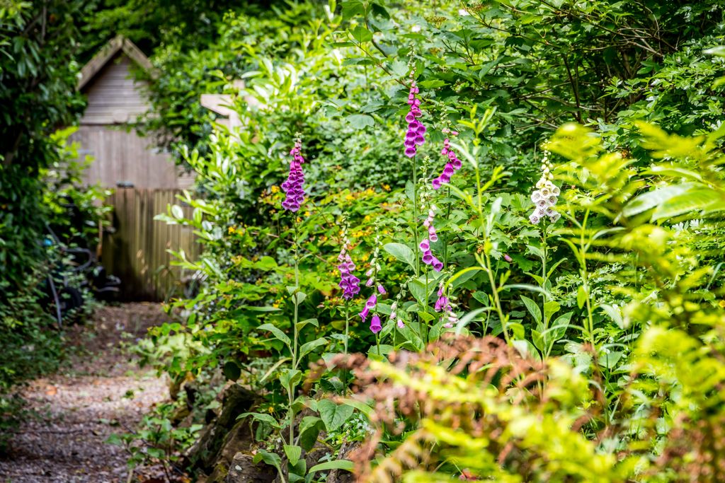 Additional image 23 of 3 bed detached house for saleAlders Road, Reigate RH2