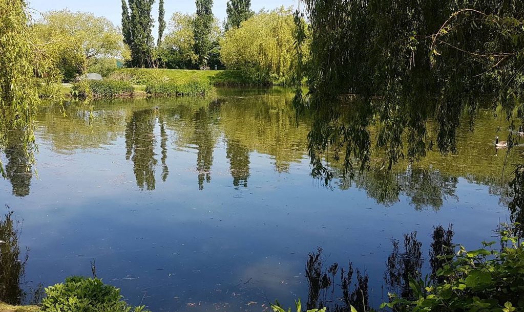 Property photo 2 of 4 Gloucester Park