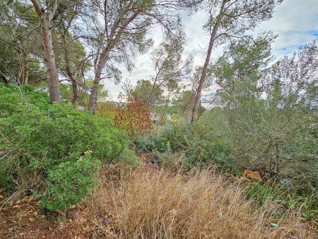 Property photo 3 of 6