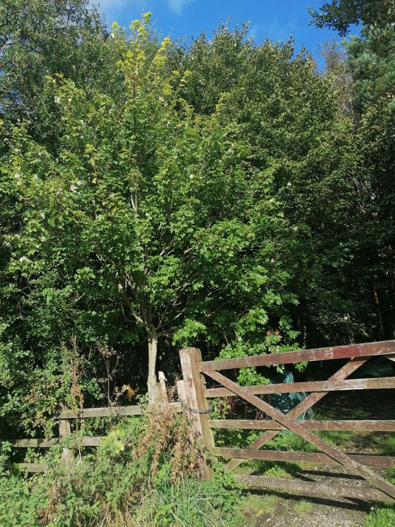 Property photo 3 of 51