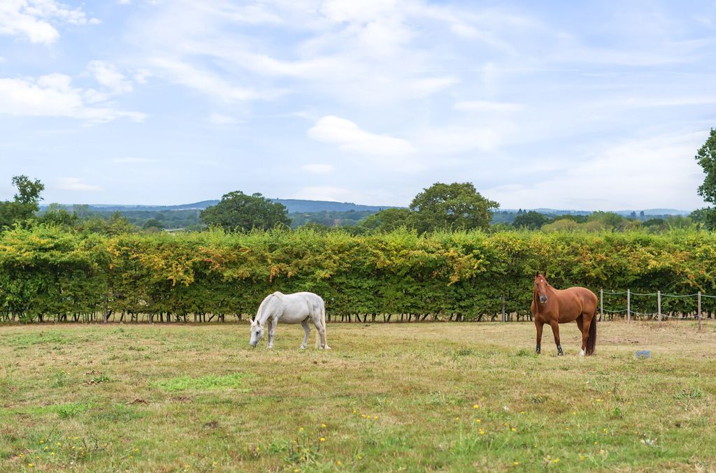 Property photo 2 of 25 1336883-18-68A5c2...