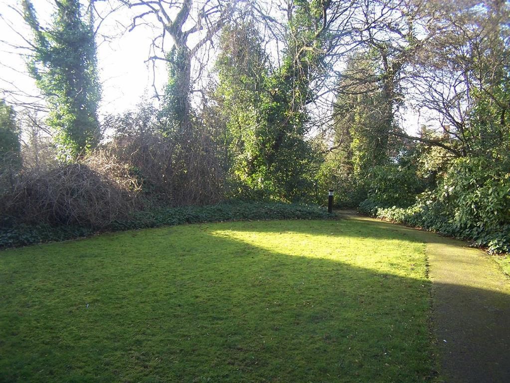 Property photo 3 of 3 Garden