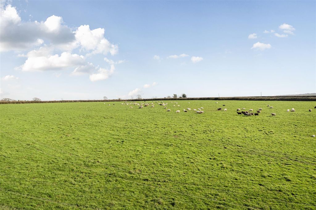 Property photo 3 of 5 1415097-26-699F455122Cac.Jpg