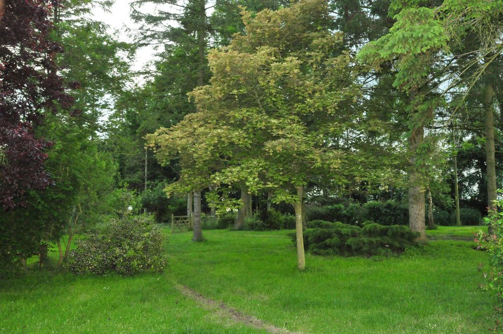 Property photo 2 of 26
