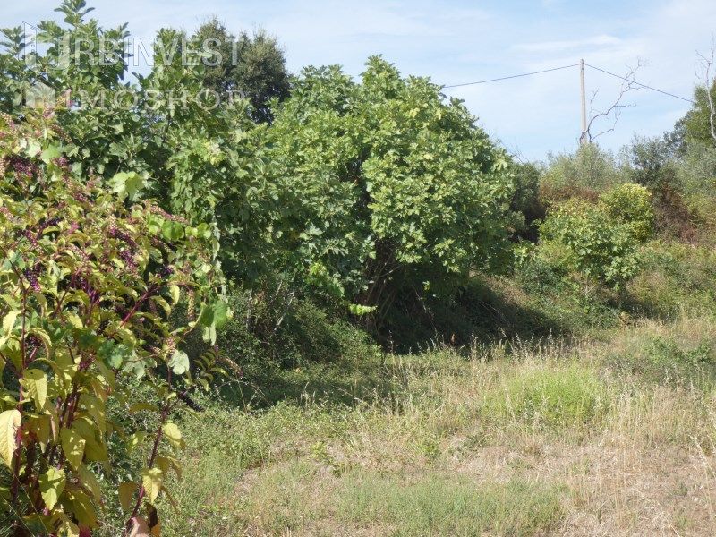 Property photo 3 of 4