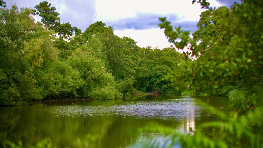 Property photo 2 of 13 Picture No. 14