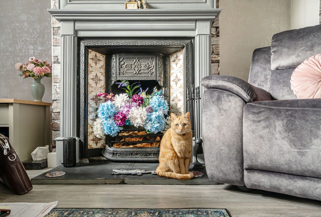 Property photo 3 of 16 1411445-11-698c7E...