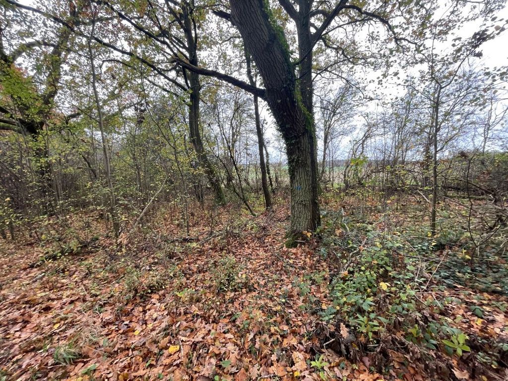 Property photo 2 of 5