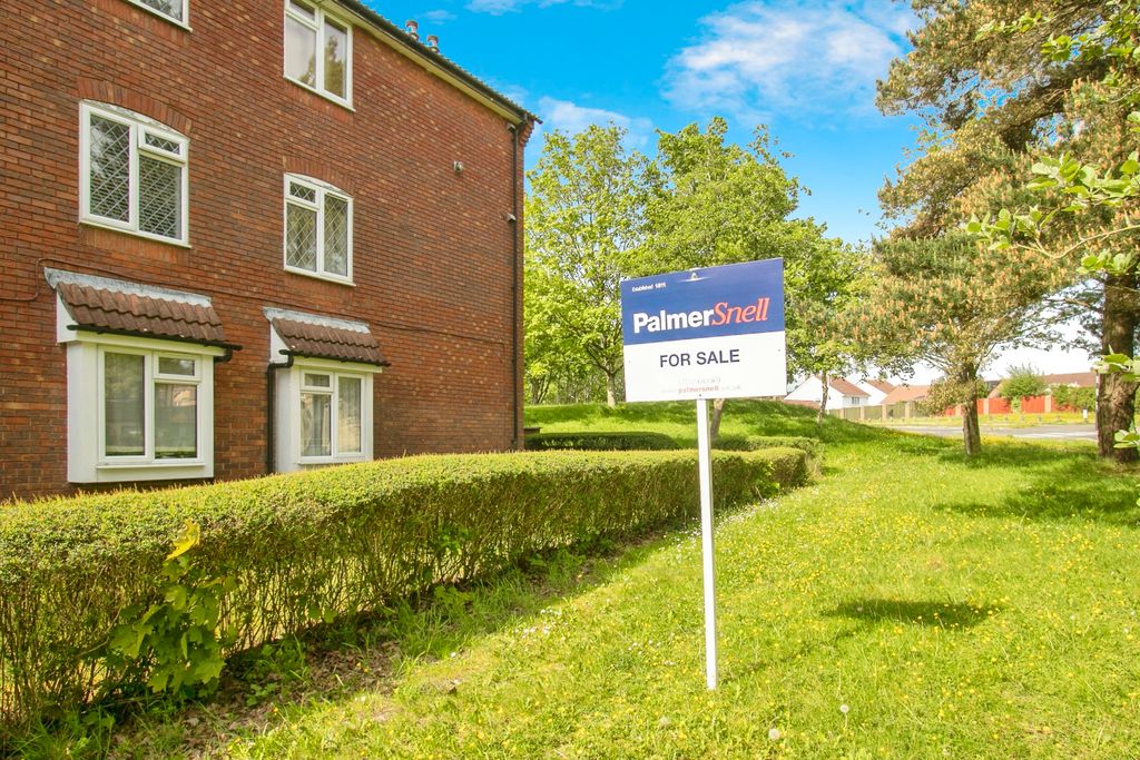 Property photo 1 of 12 Photography