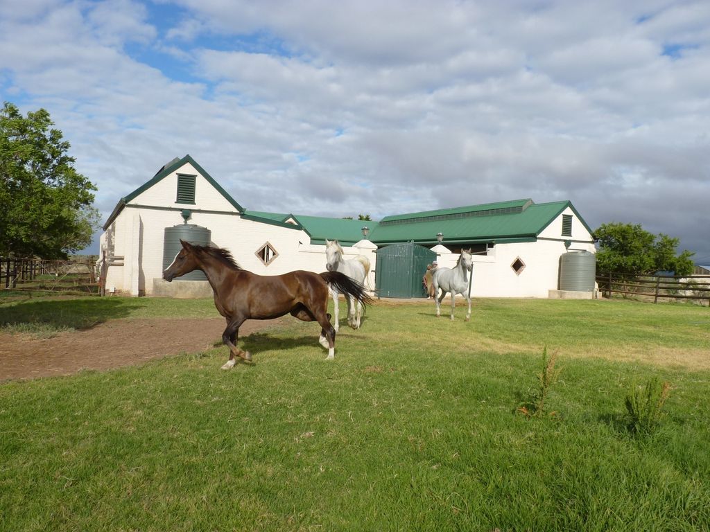 Property photo 2 of 131