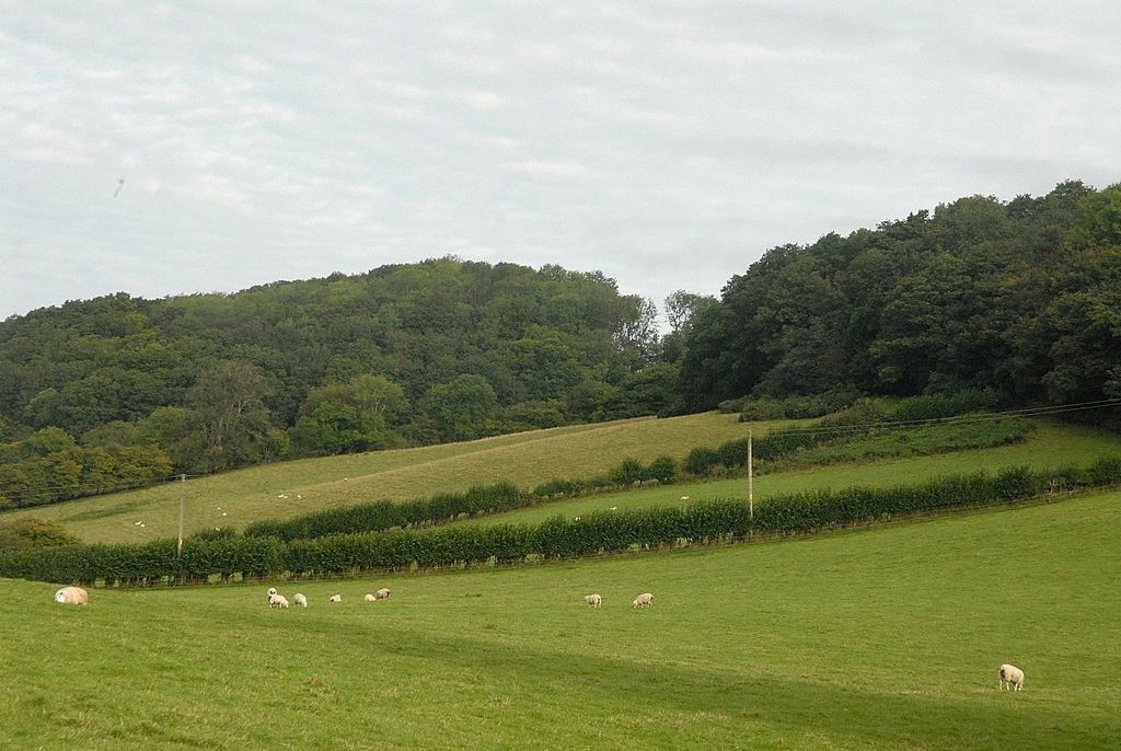Additional image 31 of 4 bed detached house for saleLlanfyllin, Powys SY22
