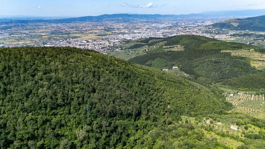 Property photo 3 of 36