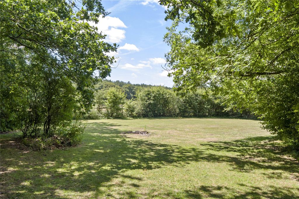 Property photo 3 of 20 Paddock Area