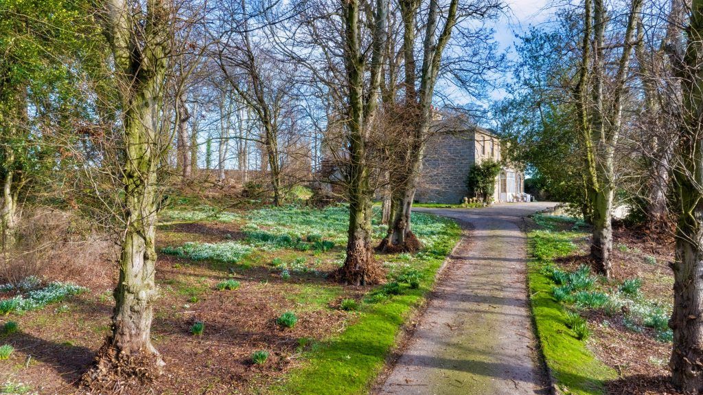 Property photo 3 of 26