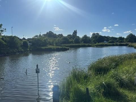 Property photo 3 of 4 Pond2.Jpg