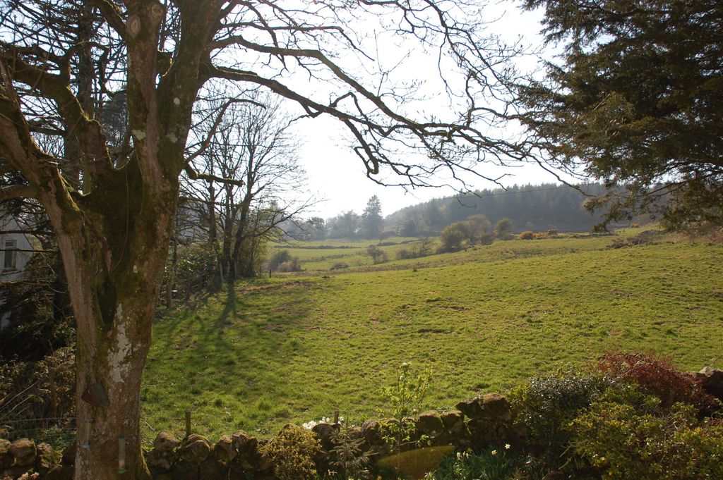 Property photo 3 of 25