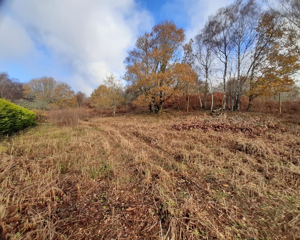 Property photo 3 of 8