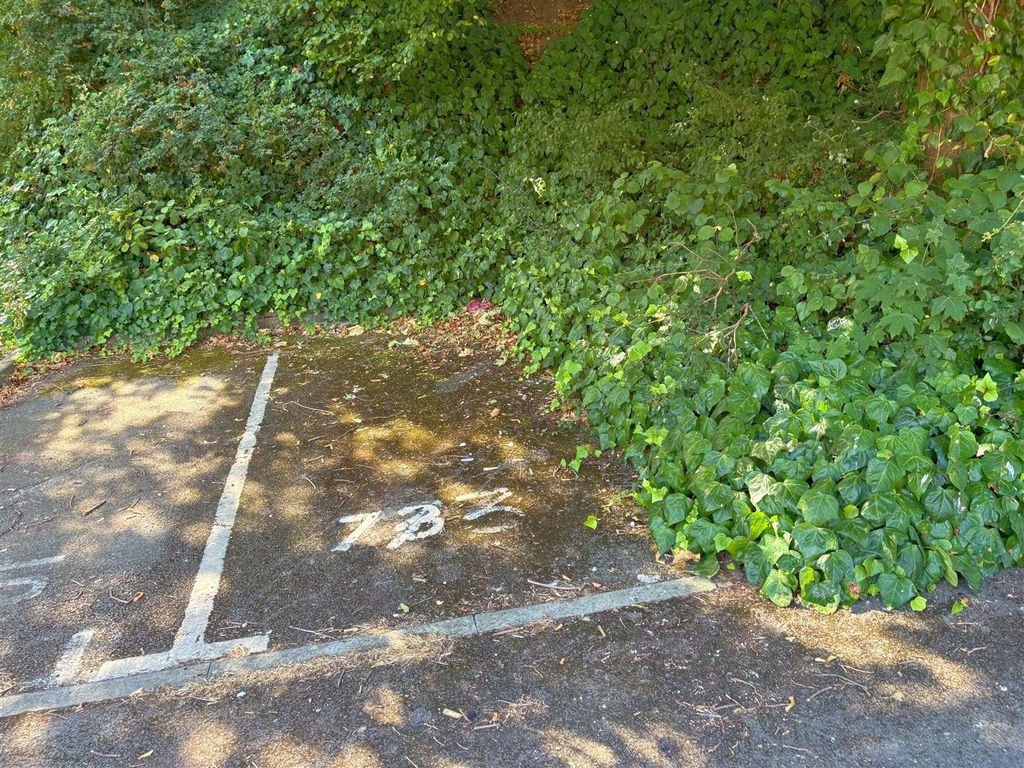 Property photo 3 of 18 Allocated Parking Space.Jpg