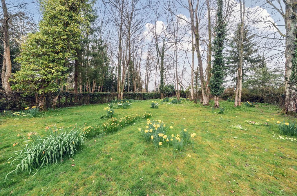 Property photo 2 of 21 1262412 (19).Jpg