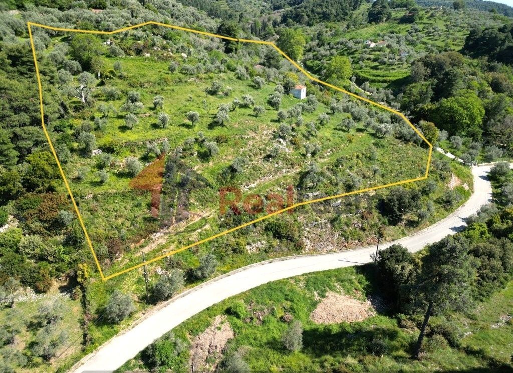 Property photo 3 of 25