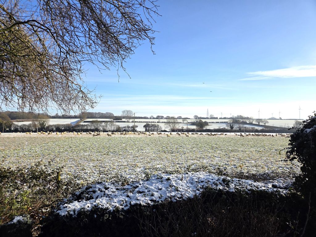 Property photo 3 of 23