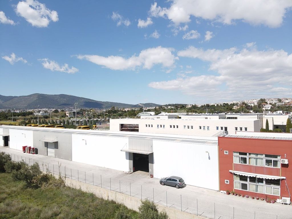 Property photo 1 of 16 Warehouse Surface 1300 Sqm