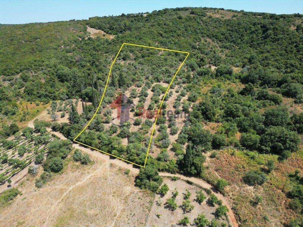 Property photo 2 of 11