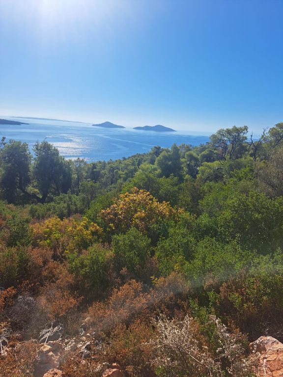 Property photo 2 of 2