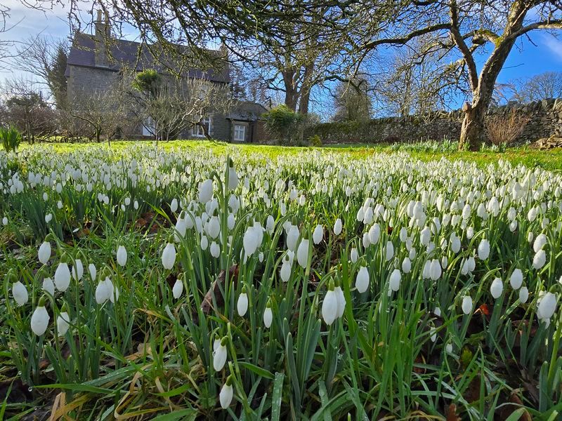 Property photo 2 of 53 Photo 51