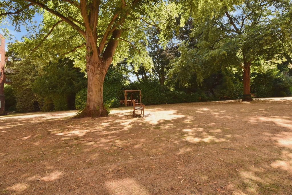 Property photo 3 of 24