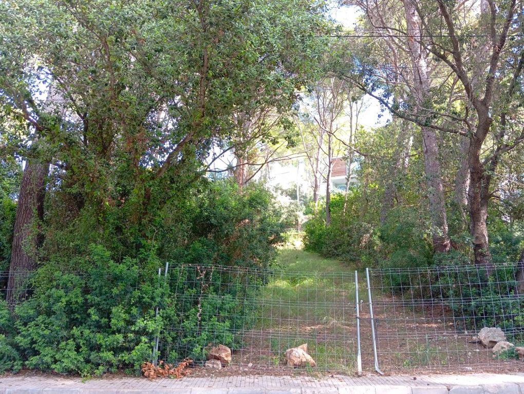 Property photo 2 of 9 Plot (4)