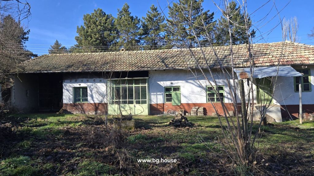 Property photo 2 of 54 Wide Angle View Showing The House Facade With Green Windows And A Garden Area With Sparse Vegetation.