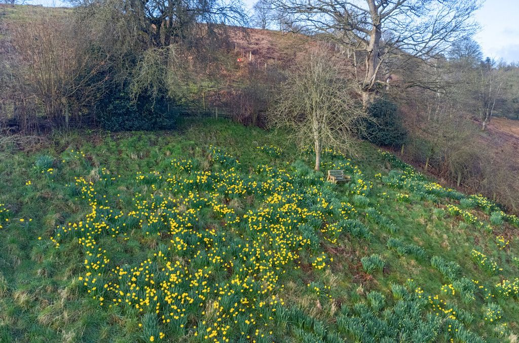 Additional image 52 of 3 bed cottage for salePenstrowed, Newtown, Powys SY16