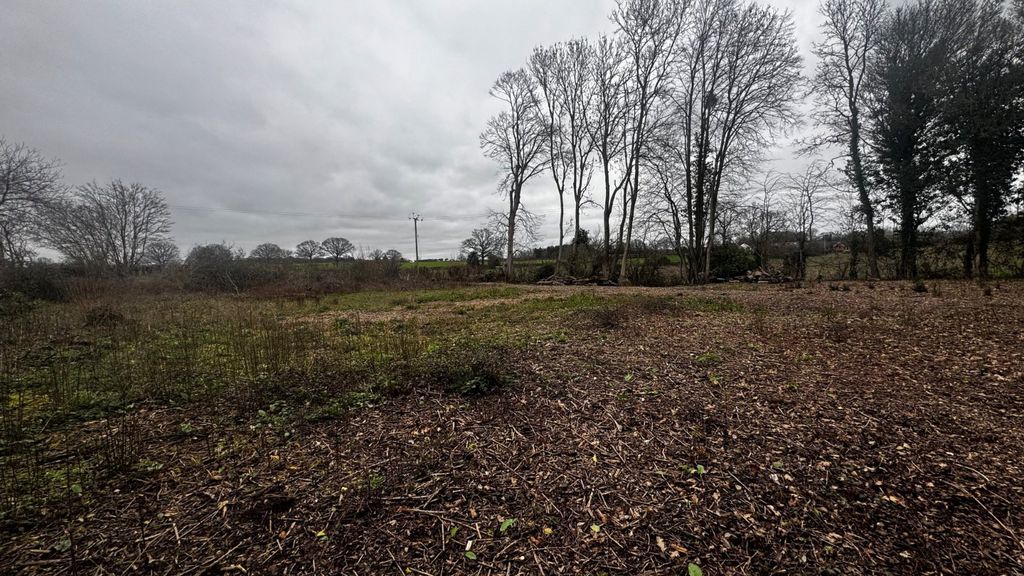 Property photo 3 of 5 Picture No. 05