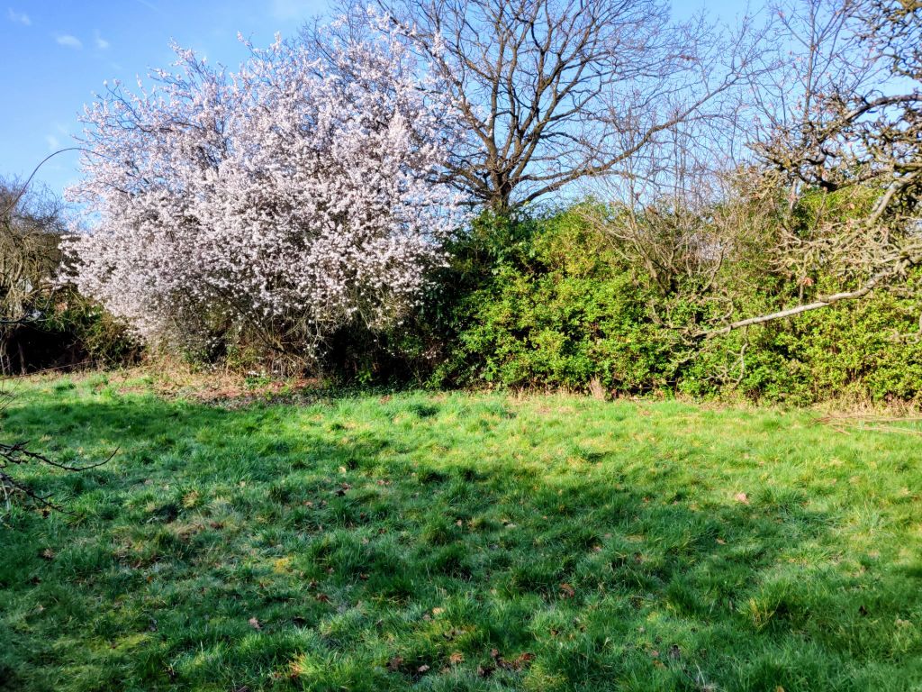 Property photo 2 of 10 Photo-2026-03-03-09-45-04