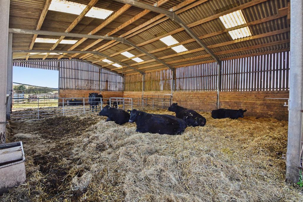 Additional image 28 of Land for saleExbourne -Okehampton, Devon EX20