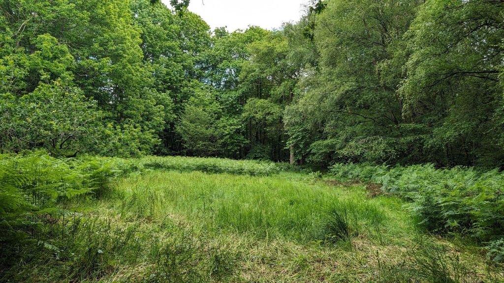 Property photo 2 of 12 Img-20251028-Wa0009.Jpg