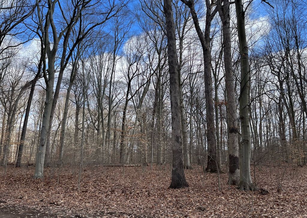 Property photo 3 of 8 <Alttext/>