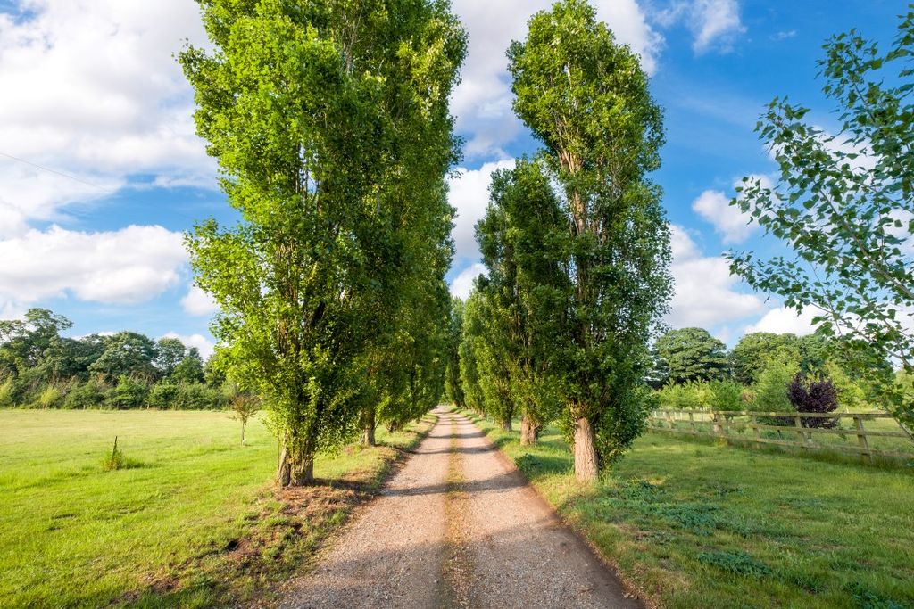 Property photo 2 of 28 The Shedd-52