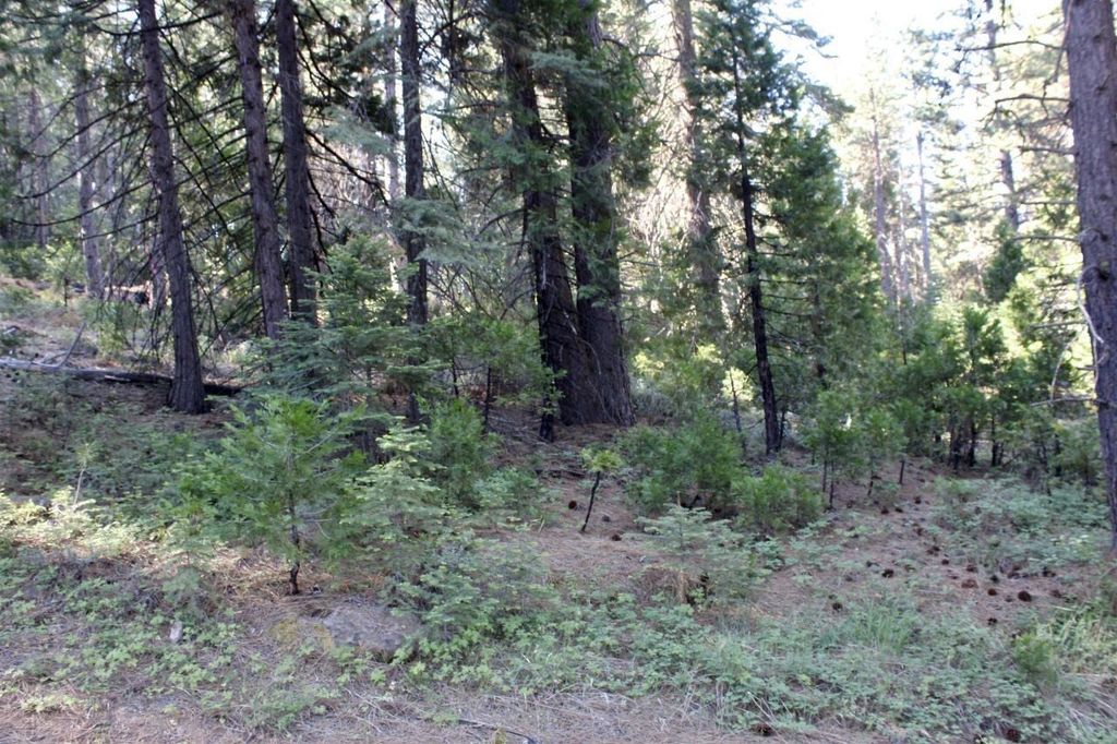 Property photo 3 of 23 <Alttext/>