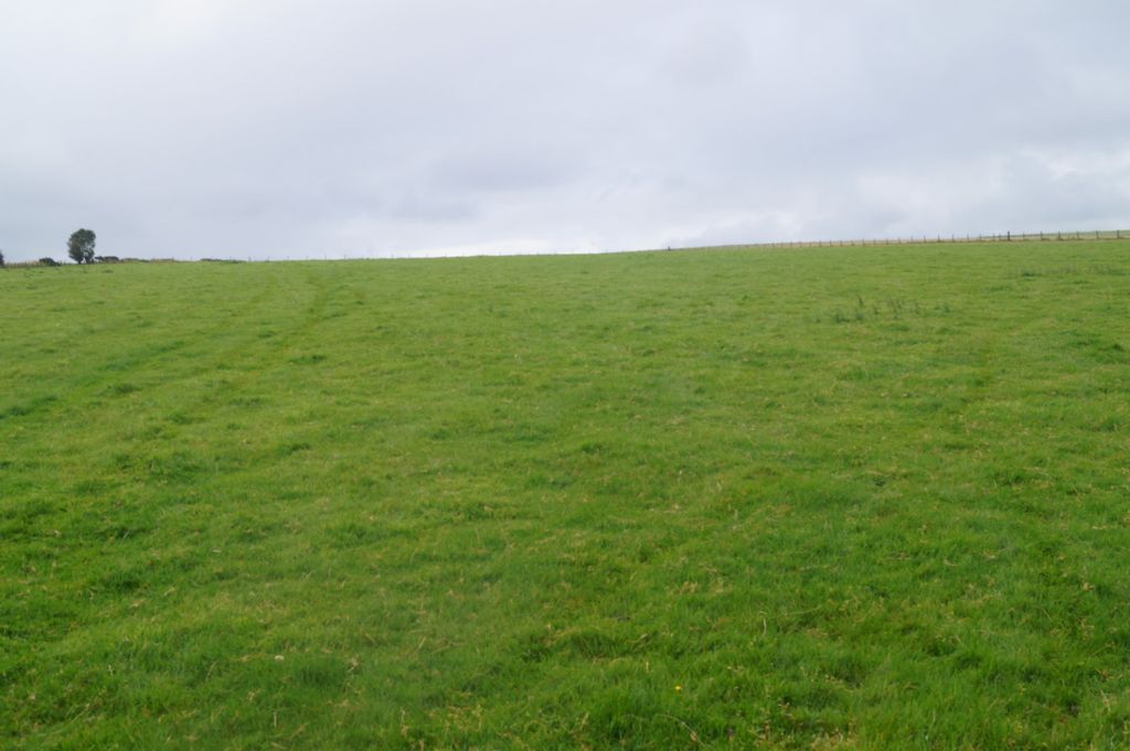 Additional image 5 of Land for saleTagarreg, Llandysul, 4EU SA44