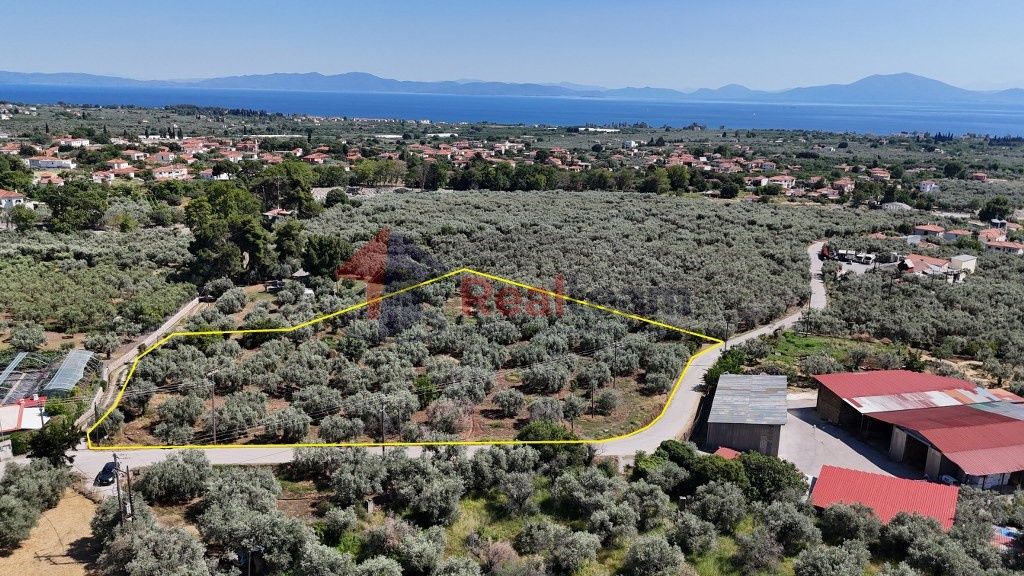 Property photo 2 of 26