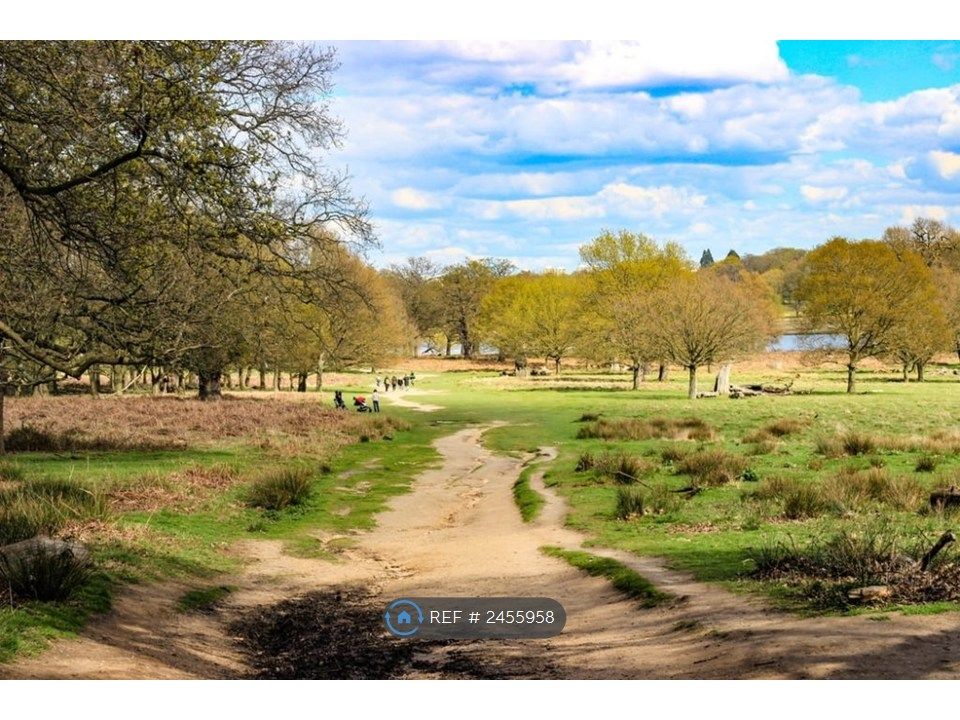 Property photo 3 of 6 Neighbouring Richmond Park