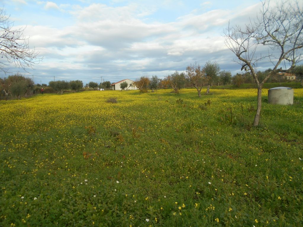 Property photo 2 of 11