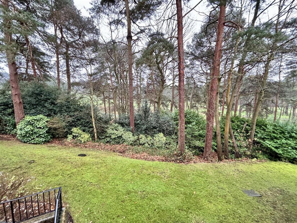 Property photo 3 of 11 View From Bedroom