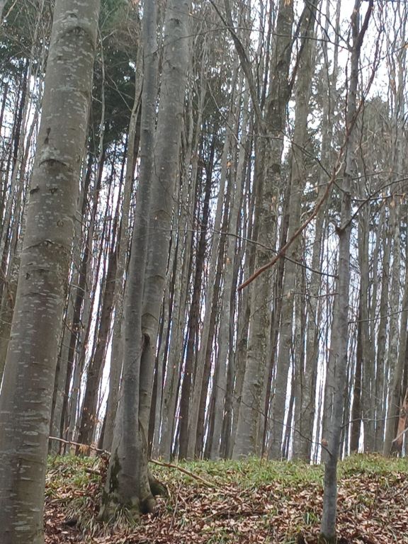 Property photo 1 of 3