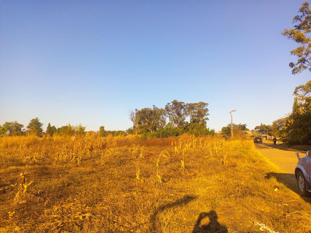 Property photo 3 of 4 Dry Cornfield Under A Clear Blue Sky During Golden Hour, With A Road And Parked Cars On The Right Side.