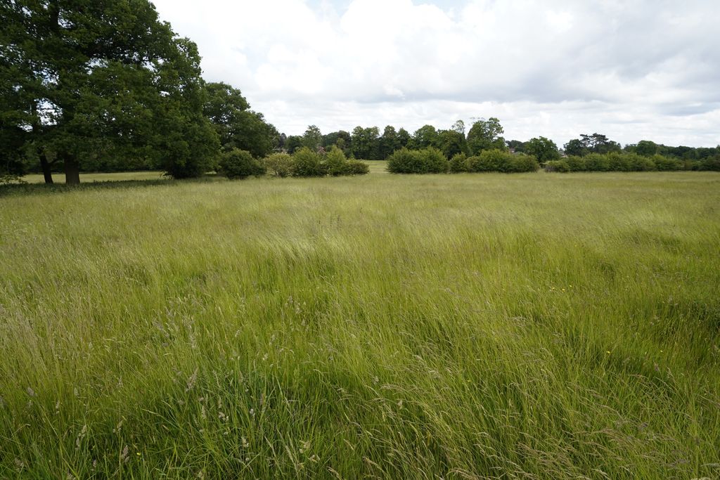 Property photo 2 of 3 Photo 4